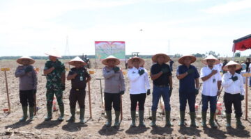 Dari Tapian Dolok ke Hutabayuraja, Kapolres Simalungun Pimpin Gerakan Hijaukan Lahan dengan Jagung